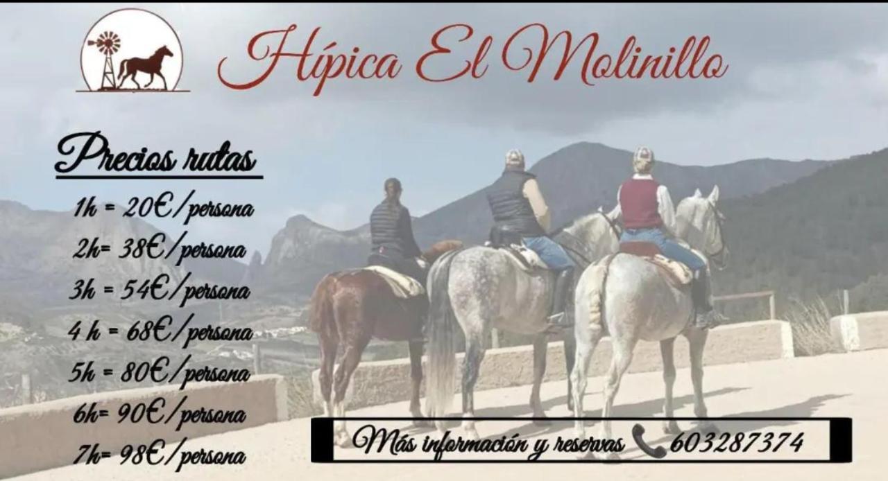Los Naranjos Alcaucín Exteriér fotografie